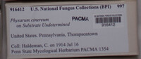 Image Associated With the Occurence